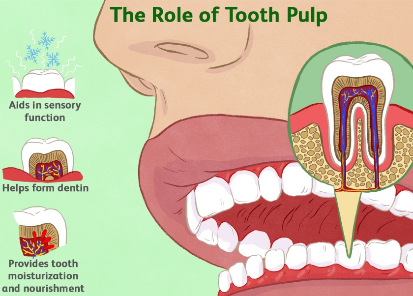 Avoid pulpal death during fixed prosthodontic procedures