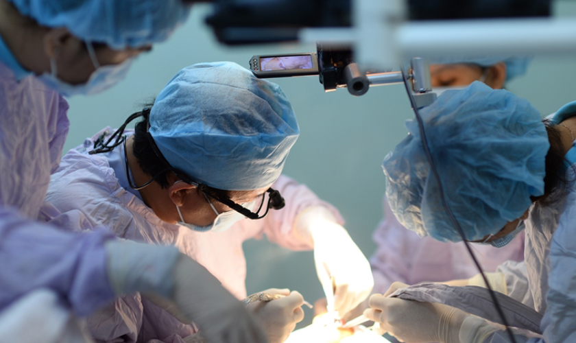 The doctor determines the success of a dental implant surgery
