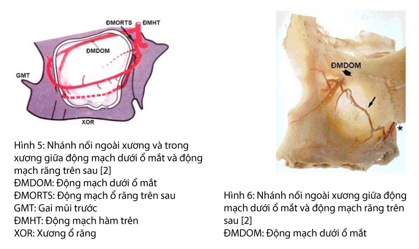 DescriptionDescription